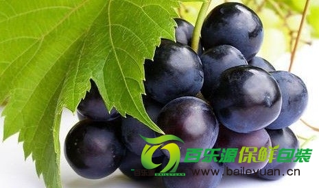 漿果保鮮新技能 漿果醋水保鮮技術